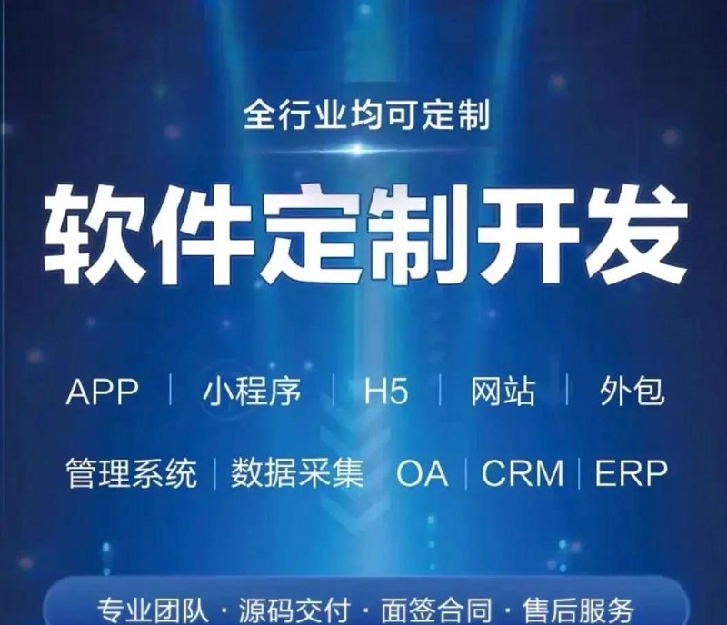 数字化时代的创新之道：企业官网定制的价值与前景